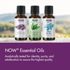 image:imageNOW Essential Oils Cedarwood Oil Undiluted Steam Distilled 1 fl oz