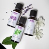 image:imageNOW Essential Oils Jasmine Absolute Oil Blend with Jojoba 1 fl oz