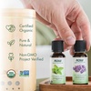 image:imageNOW Essential Oils Organic Orange Oil Uplifting Aromatherapy Scent Cold Pressed 100 Pure Vegan Child Resistant Cap 1Ounce1 Ounce