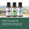 image:imageNOW Essential Oils Organic Orange Oil Uplifting Aromatherapy Scent Cold Pressed 100 Pure Vegan Child Resistant Cap 1Ounce1 Ounce