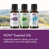 image:imageNOW Essential Oils Sweet Basil Oil Undiluted Steam Distilled 1 fl ozStandard Packaging