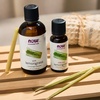 image:imageNOW Essential Oils Tea Tree Oil Steam Distilled Undiluted 16 fl oz1 Fl Oz Pack of 1