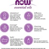 image:imageNOW Essential Oils Turmeric Oil Undiluted Steam Distilled 1 fl ozLavender
