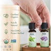 image:imageNOW Essential Oils Turmeric Oil Undiluted Steam Distilled 1 fl ozLemongrass