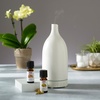 image:imageNOW Essential Oils Vetiver Oil Steam Distilled Undiluted 10 mL033 Fl Oz Pack of 1