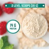 image:imageNOW Foods Sports Nutrition Certified Organic Pea Protein 15 Grams Unflavored Powder 15Pound15 Pound Pack of 1