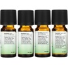 image:imageNOW Essential Oils Seasonal Changes Balancing Aromatherapy Kit 4x10ml Including Tea Tree Eucalyptus Radiata Clear the Air and Natures Shield Oil Blend With Child Resistant Caps133 Fl Oz Pack of 1