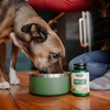 image:imageNOW Pet Health Cardiovascular Support Supplement Formulated for Cats amp Dogs NASC Certified Powder 45OunceChicken