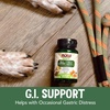 image:imageNOW Pet Health GI Support Supplement Formulated for Cats amp Dogs NASC Certified 90 Chewable Tablets90 Pack of 12
