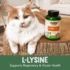 image:imageNOW Pet Health LLysine Supplement Powder Formulated for Cats NASC Certified 8Ounce8 OZ Pack of 2