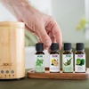image:imageNOW Solutions Real Bamboo Ultrasonic Aromatherapy Oil Diffuser1 Count Pack of 1