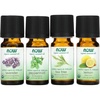 image:imageNOW Essential Oils Seasonal Changes Balancing Aromatherapy Kit 4x10ml Including Tea Tree Eucalyptus Radiata Clear the Air and Natures Shield Oil Blend With Child Resistant Caps133 Fl Oz Pack of 1