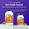 image:imageNOW Foods Supplements Psyllium Husk Caps 500 mg NonGMO Project Verified Natural Soluble Fiber Intestinal Health 200 Veg Capsules250 Count Pack of 2