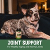 image:imageNOW Pet Health Joint Support Supplement Formulated for Cats amp Dogs NASC Certified 90 Chewable Tablets90 Count