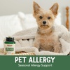 image:imageNOW Pet Health Pet Allergy Supplement Formulated for Cats amp Dogs NASC Certified 75 Chewable Tablets75 Chewable Tablets