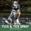 image:imageNOW Pet Health Spray For Dogs Essential Oil Based No Deet 8Ounce