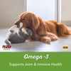 image:imageNow Pet Health Omega 3 Mini Gels Supplement Formulated for Cats amp Dogs NASC Certified 150 Softgels150 Count