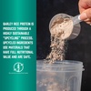 image:imageNow Sports Barley Rice Protein 10 g Unflavored Powder 15 lbsUnflavored